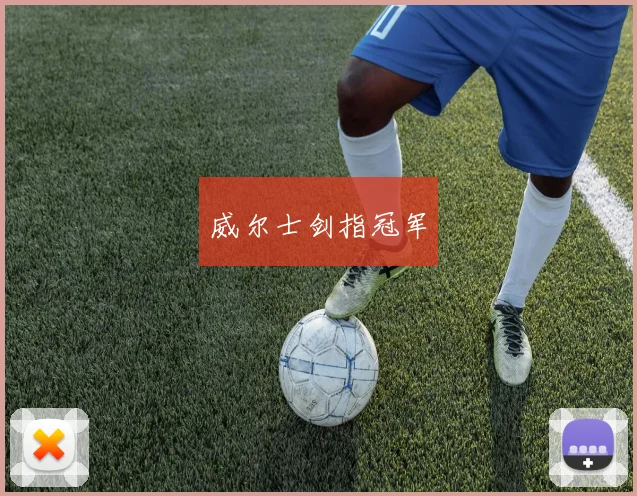 威尔士剑指冠军