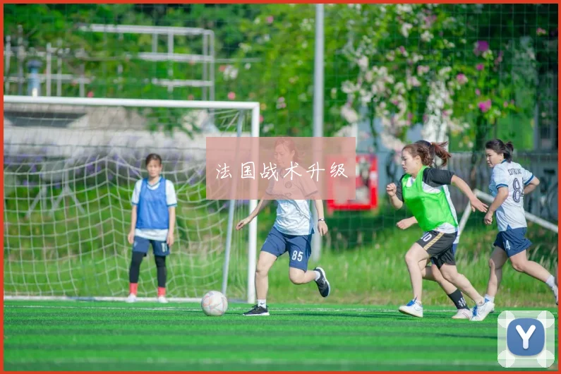 法国战术升级