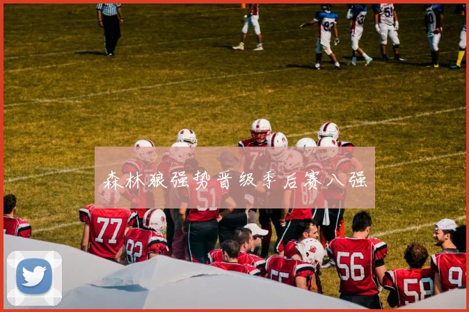 森林狼强势晋级季后赛八强