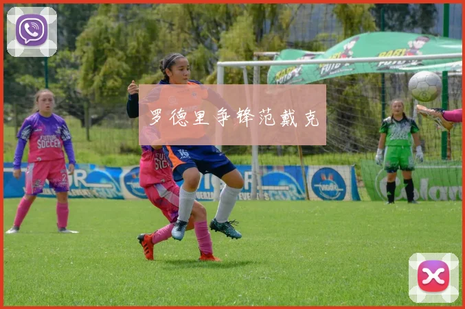 罗德里争锋范戴克