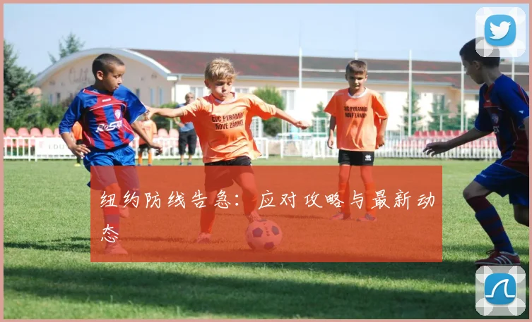 纽约防线告急:应对攻略与最新动态