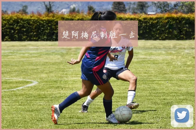 楚阿梅尼制胜一击