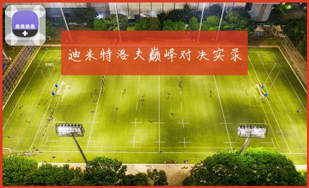 迪米特洛夫巅峰对决实录