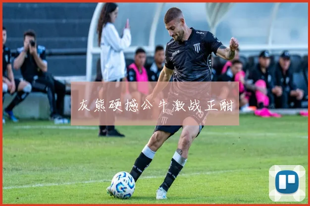 灰熊硬撼公牛激战正酣