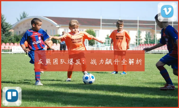 灰熊团队爆发：战力飙升全解析