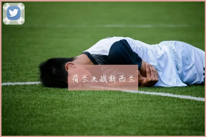 荷兰决战新西兰