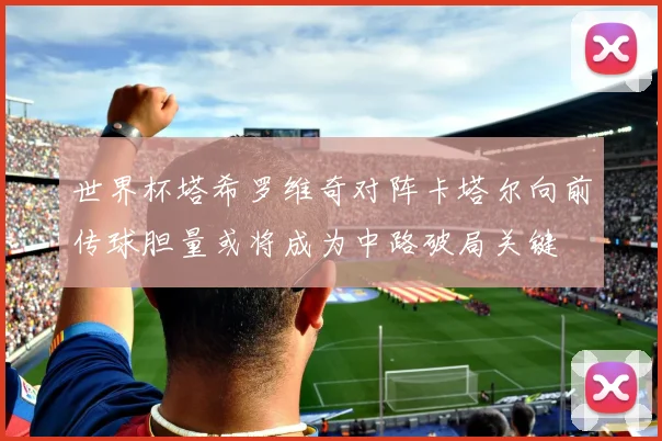 世界杯塔希罗维奇对阵卡塔尔向前传球胆量或将成为中路破局关键